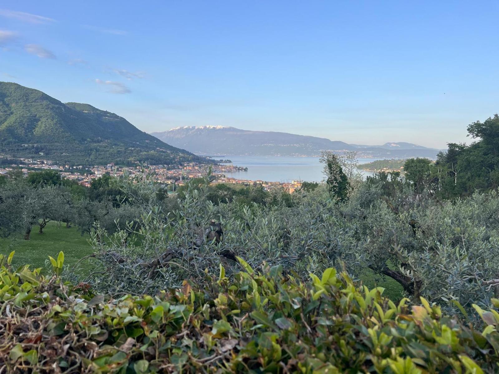 La Finestra Sul Garda Dreaming Holidays Сан-Феличе-дель-Бенако Экстерьер фото