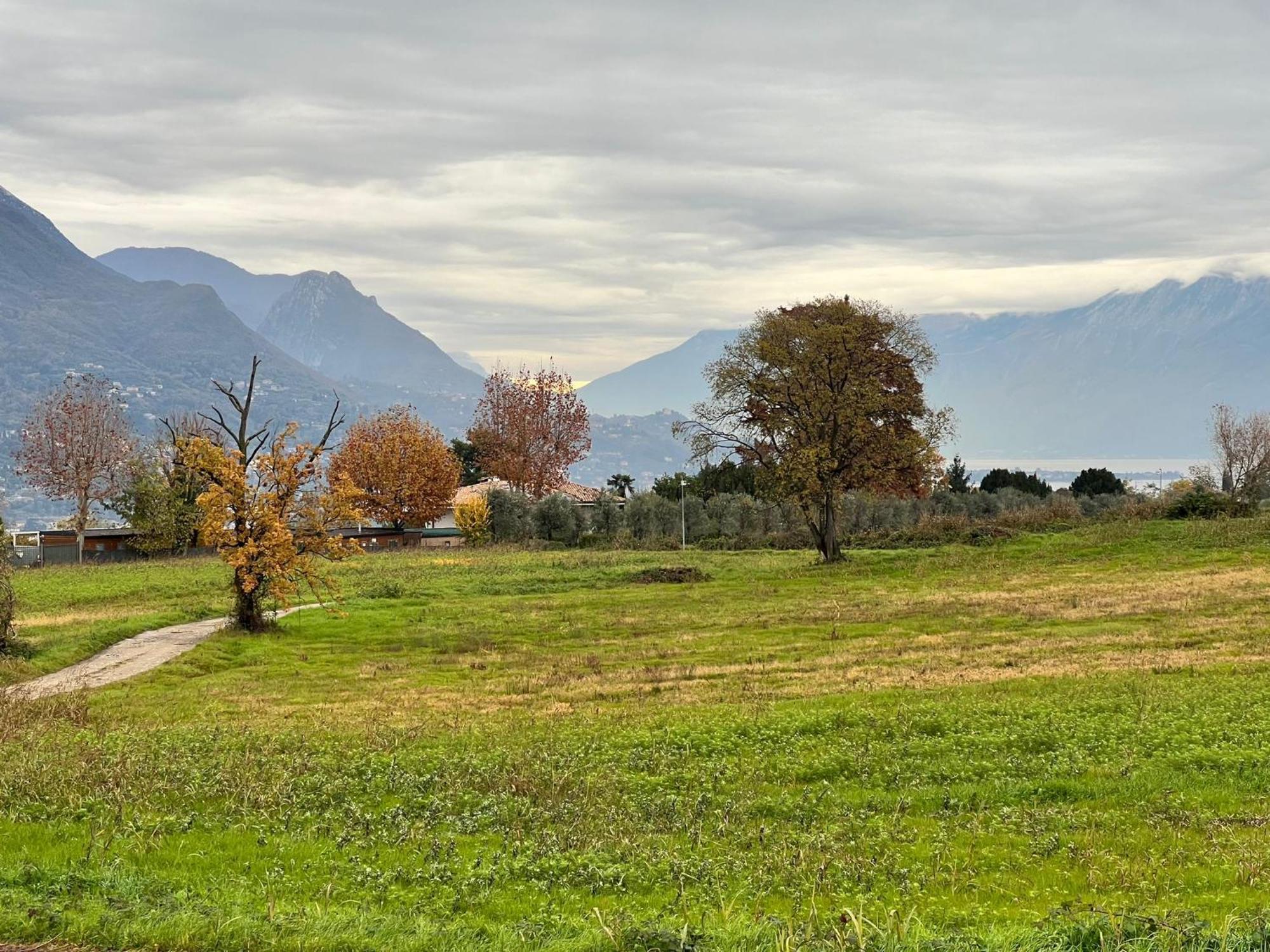La Finestra Sul Garda Dreaming Holidays Сан-Феличе-дель-Бенако Экстерьер фото